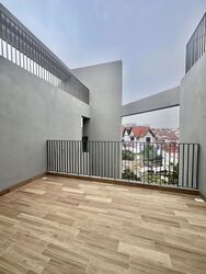 Pollen Collection (D28), Terrace #634124501